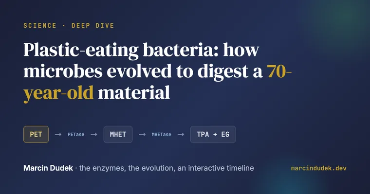 The PET to PETase to MHET to MHETase enzyme relay that lets bacteria digest plastic